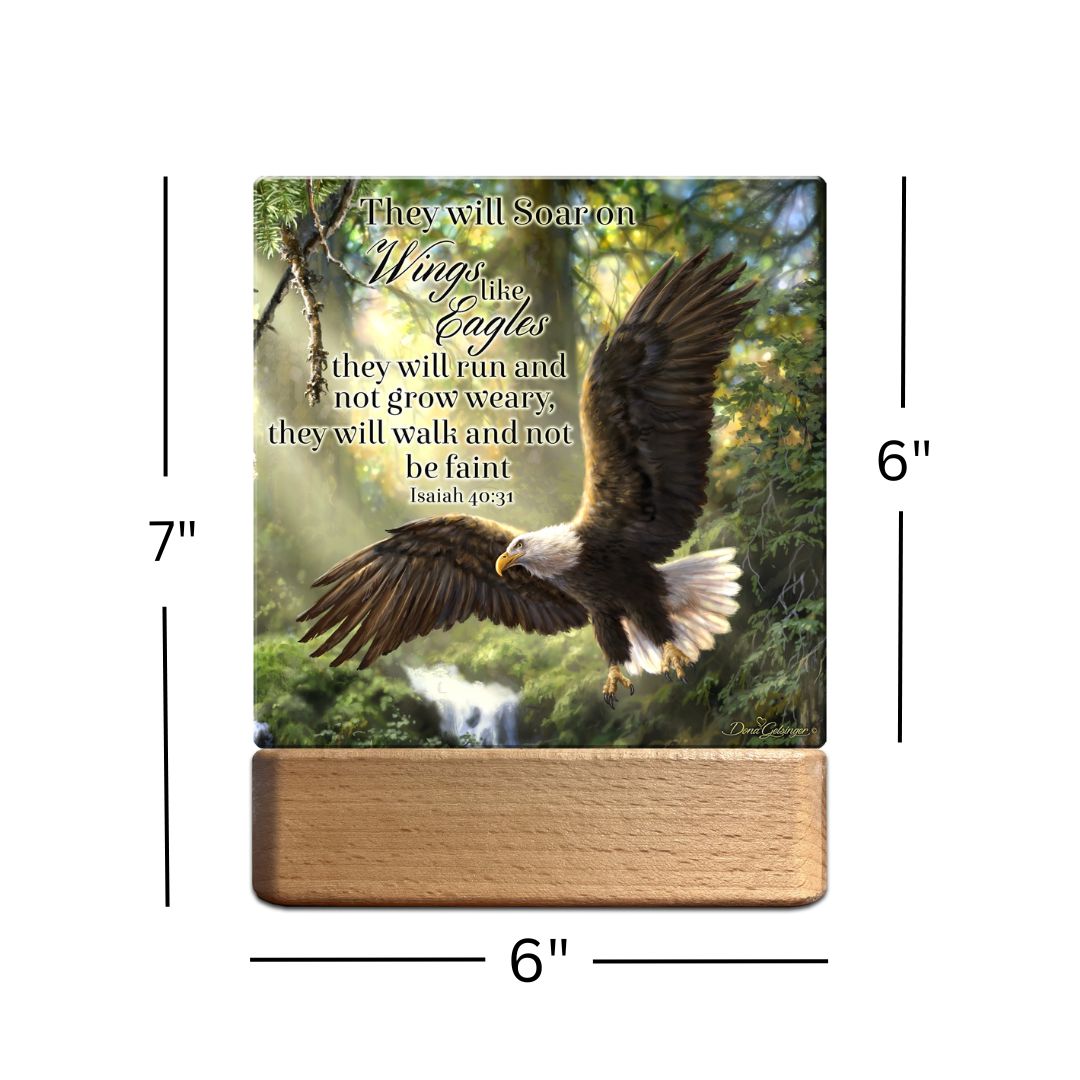 Eagle's Flight with Scripture LED Nightlight