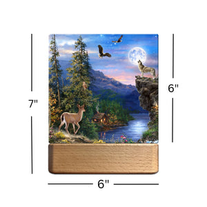 Welcome to the Woods LED Nightlight