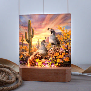 Quail Vista LED Nightlight