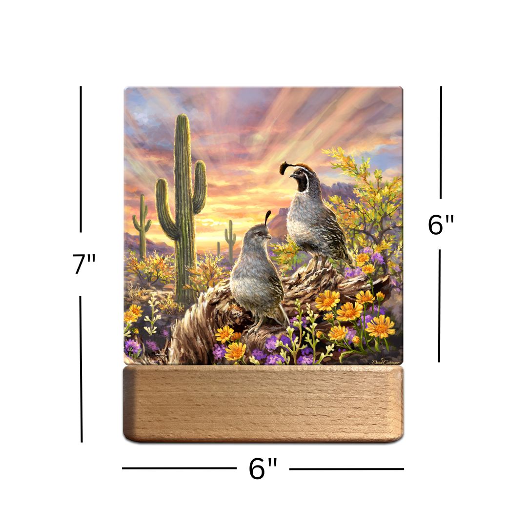 Quail Vista LED Nightlight