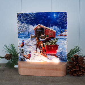 Starry Winter Night LED Nightlight