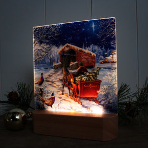 Starry Winter Night LED Nightlight
