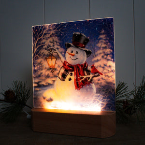 Winter Magic Night LED Nightlight