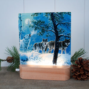 Under the Moonlight LED Nightlight