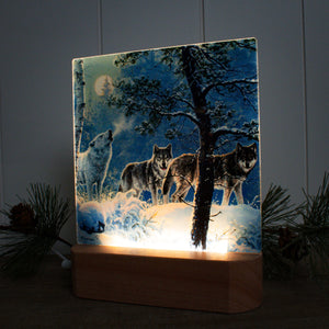 Under the Moonlight LED Nightlight