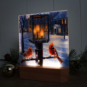 Warmth of Winter LED Nightlight