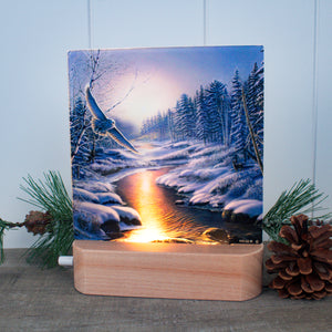 Solstice Snowy Owl LED Nightlight