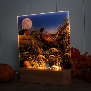 Harvest Moon LED Nightlight