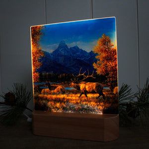 Teton Range LED Nightlight