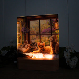 Playful Kittens LED Nightlight