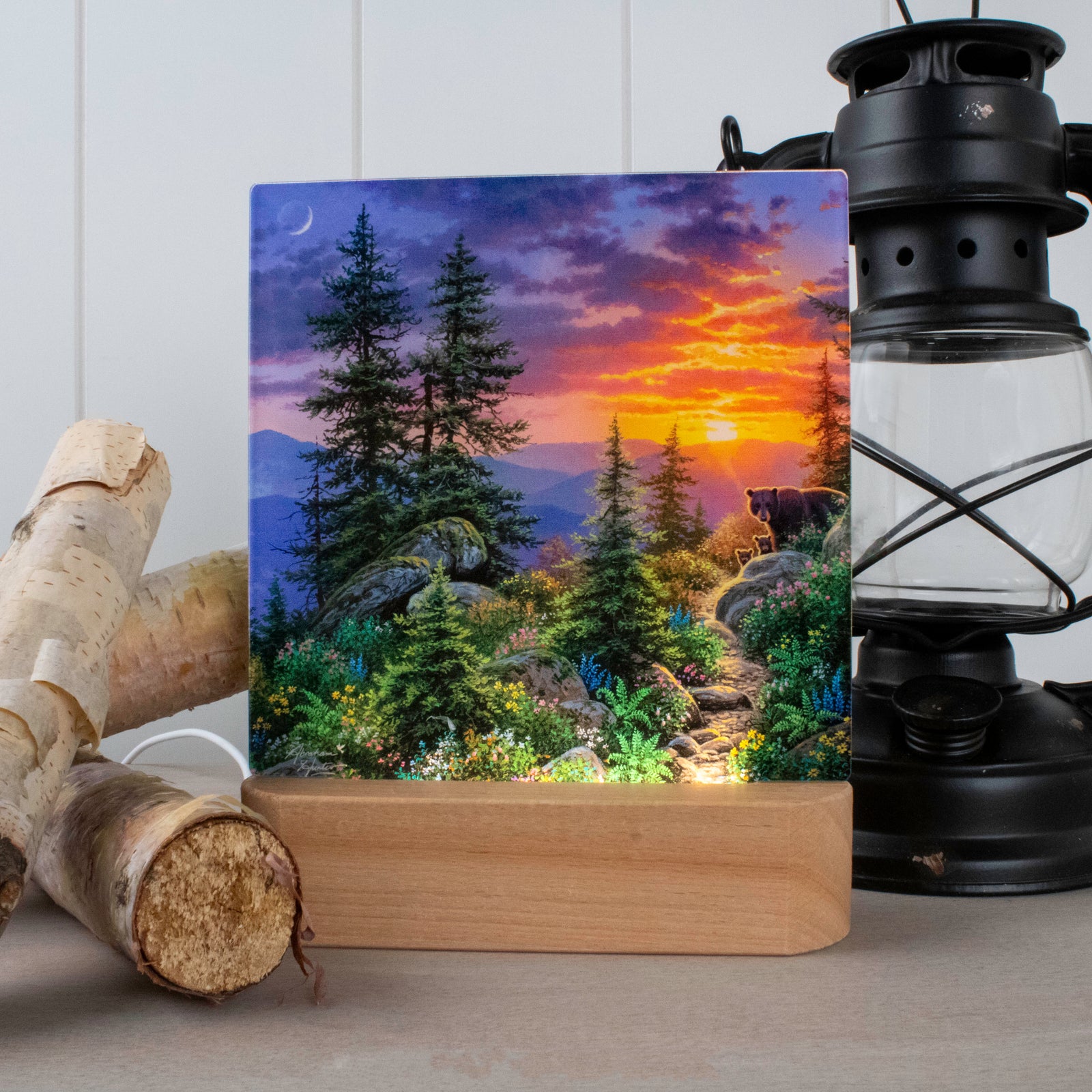 2026 Made in the USA – New Arrivals