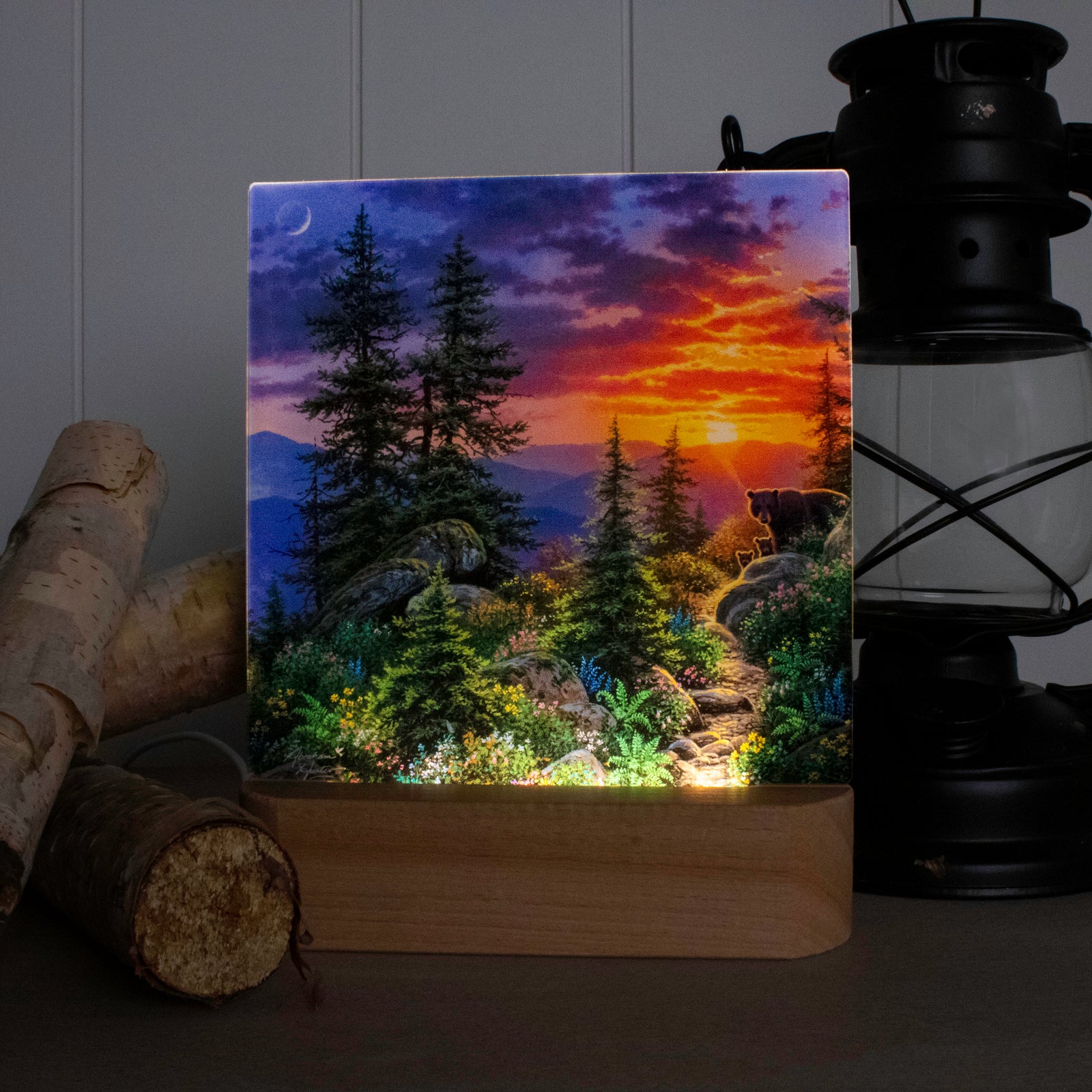 From The Ashes LED Nightlight