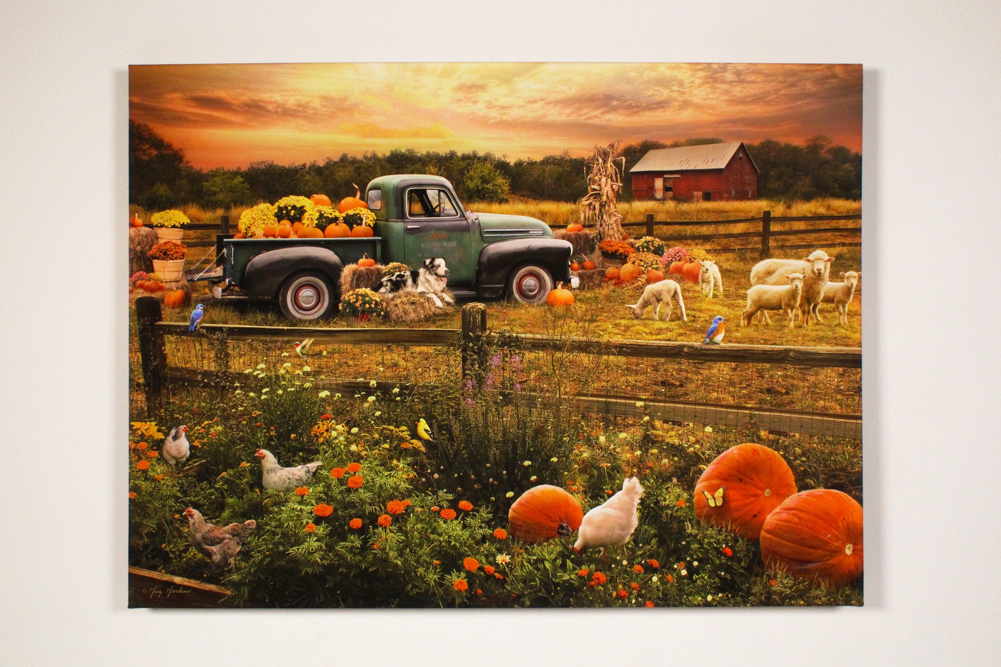 a vintage truck overflowing with vibrant pumpkins and delicate flower pots in its bed. The scene is set in an overgrown planter bed, where cute little chickens peck away at the ground amidst the plentiful pumpkins.  As you gaze beyond the fence, you'll be greeted by a picturesque family of sheep, their loyal canine companion, and a sea of hay bales, corn stalks, and more pumpkins.