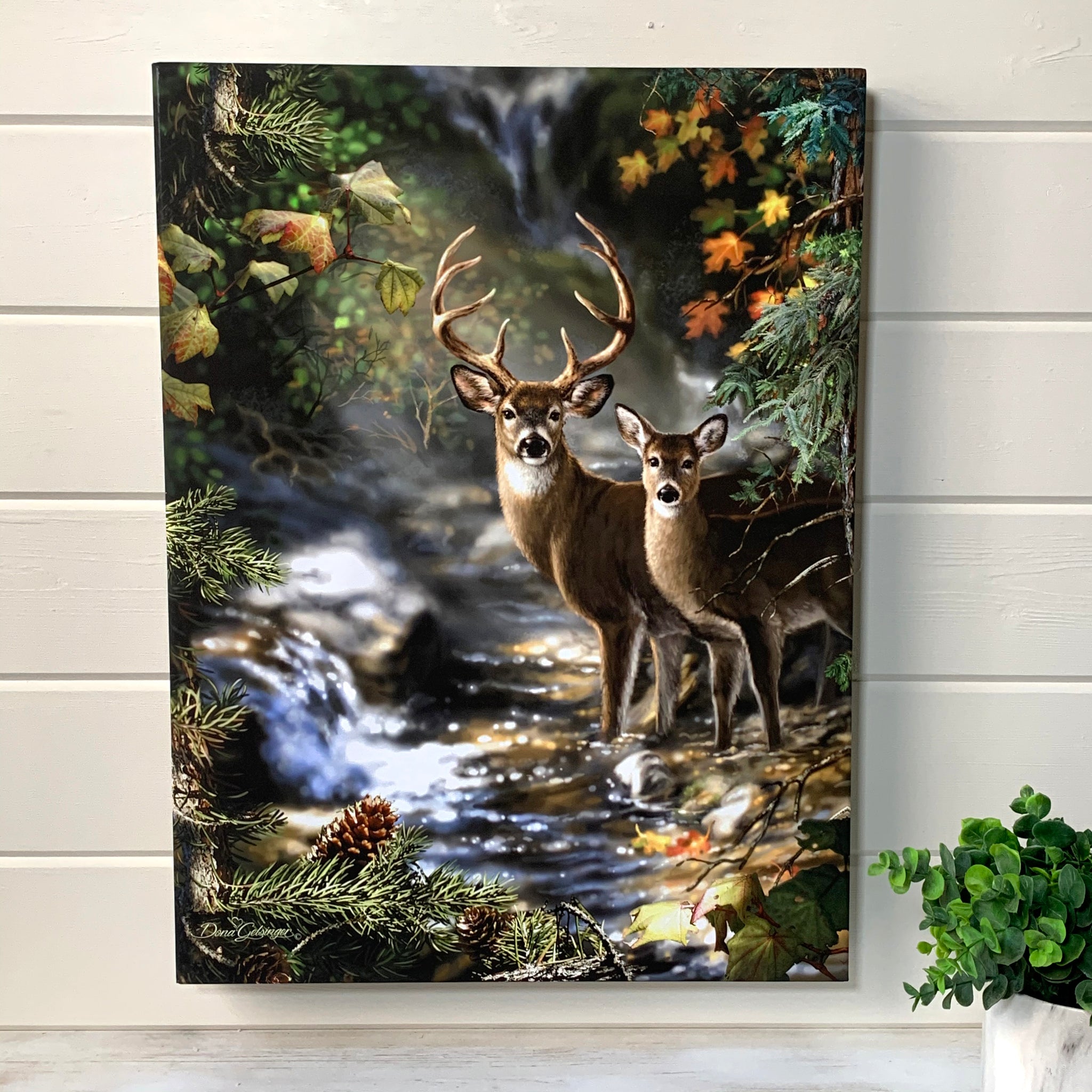Deer Creek 18x24 Fully Illuminated LED Wall Art Glow Decor