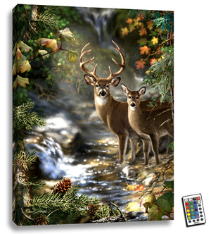 A majestic buck and graceful doe stand together in a tranquil forest stream, surrounded by lush foliage and serene water.