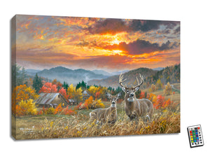 A magnificent buck and a graceful doe stand amidst the vibrantly hued leaves in a field, with a charming barn and a quaint farmhouse nestled down the hill. The warm hues of red, yellow, and orange paint the picturesque fall scene, while the sun battles through the clouds above, casting a glorious glow over the entire landscape.