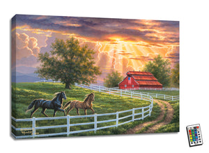 Featuring two majestic horses running free in a fenced-in field, this art piece captures the spirit of the great outdoors and the freedom of the open plains.  The stunning background of a large red barn with the iconic American flag waving proudly in the breeze adds a touch of patriotism to the piece.